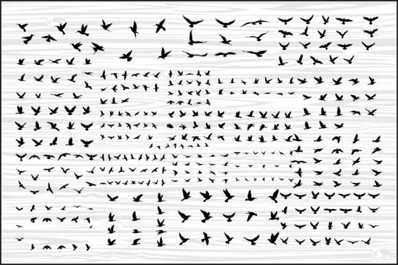 Download Flight of Freedom: Birds in Motion - Motion Collection